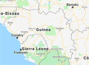 Guinea